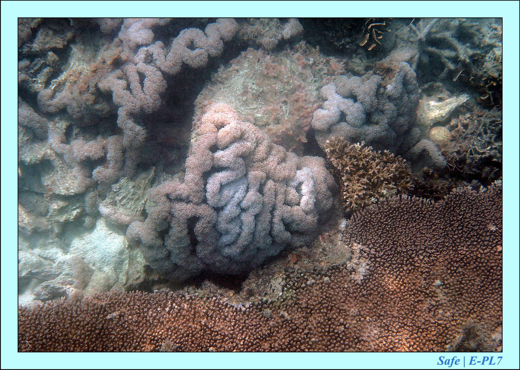 2015 - 07 - Peranthian Islands 12